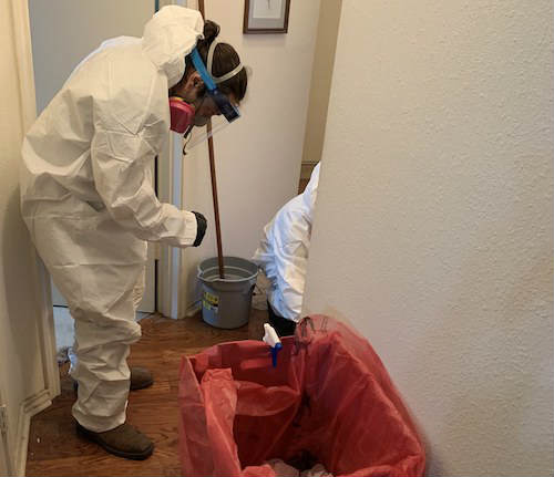 Trauma Cleaning Services